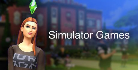 Simulation
