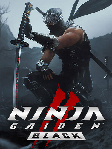 Ninja Gaiden 2: Black